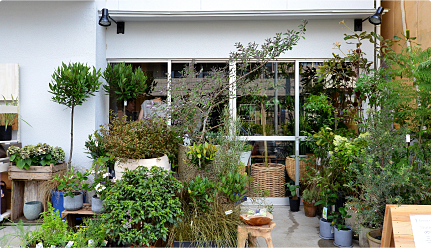 花・フラワーアレンジ・リース・オーダーメイド|Rosetta*H(ロゼッタアッシュ)